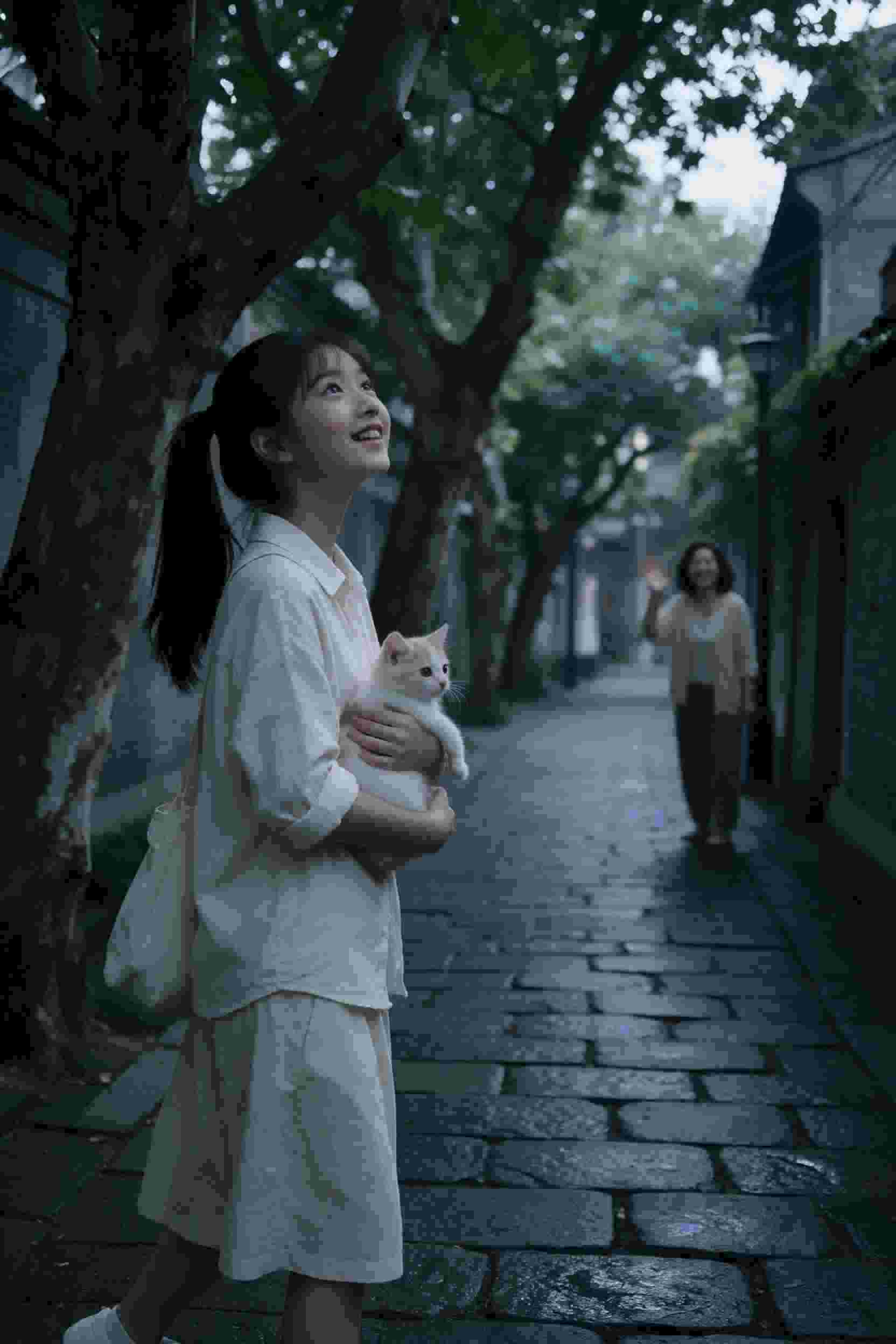 算法迷局